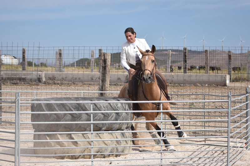 Im&aacute;genes del Concurso de Equitaci&oacute;n de Trabajo